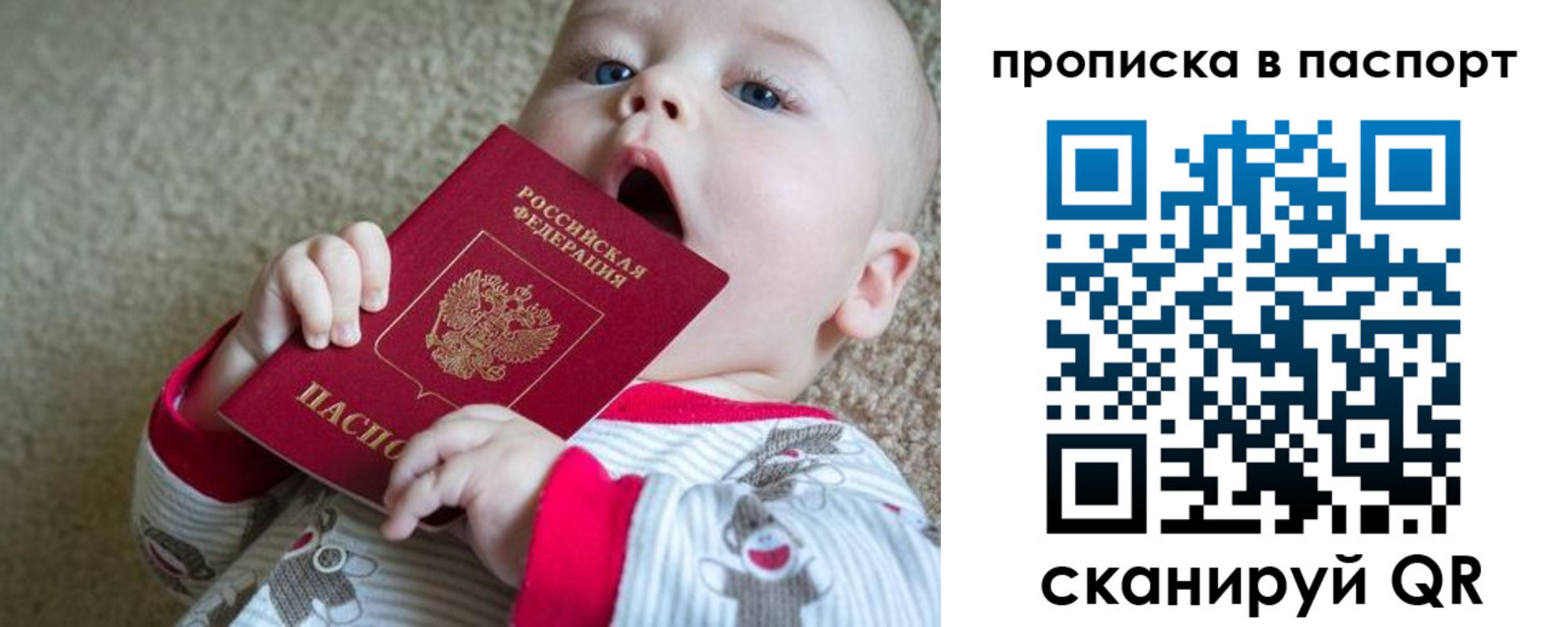 временная регистрация гарантия в Луге